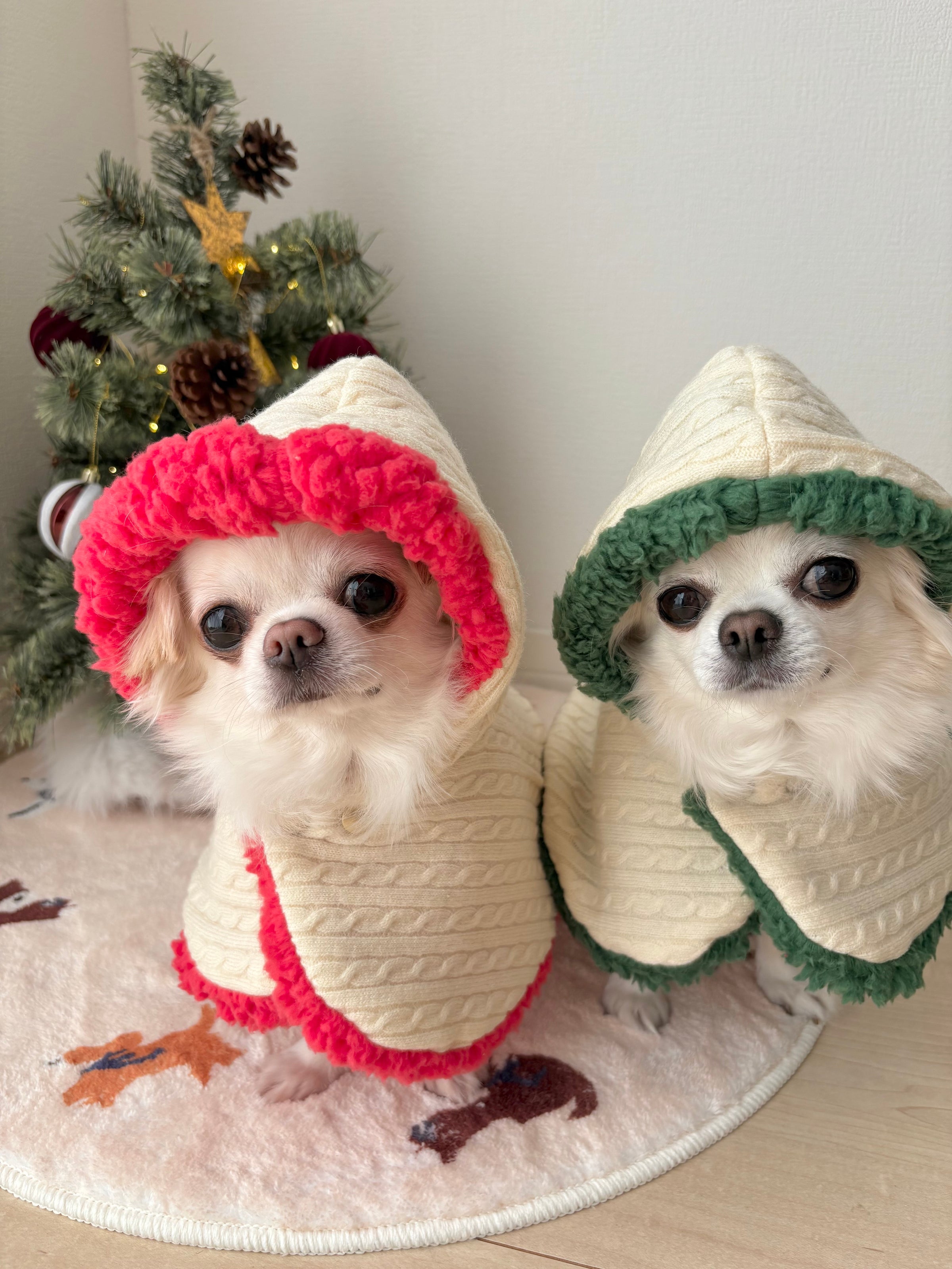 飼い主さんとわんちゃんの毎日お洋服 | 365with.